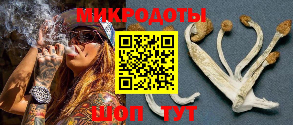 Галлюциногенные грибы Psilocybe  Вход с VPN  хочу   Дагестанские Огни 